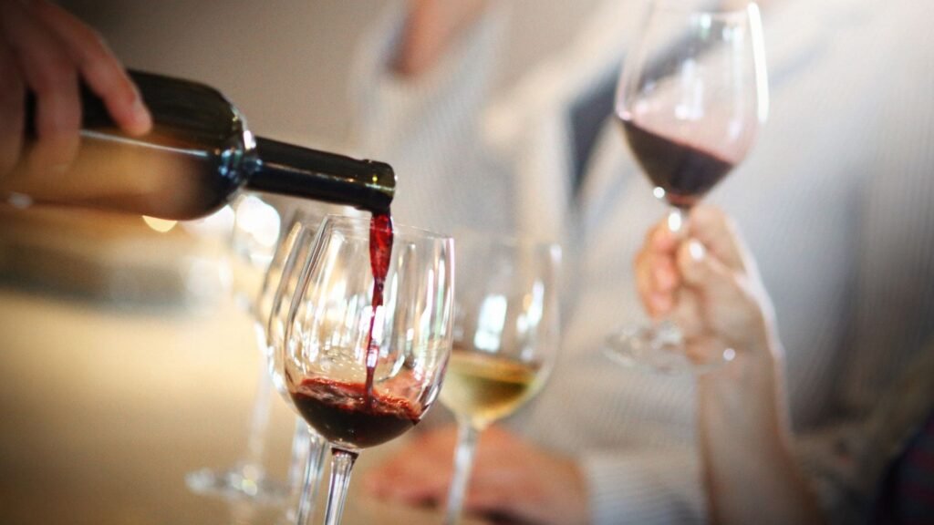 Exploring Key Influences on the South African Wine Industry